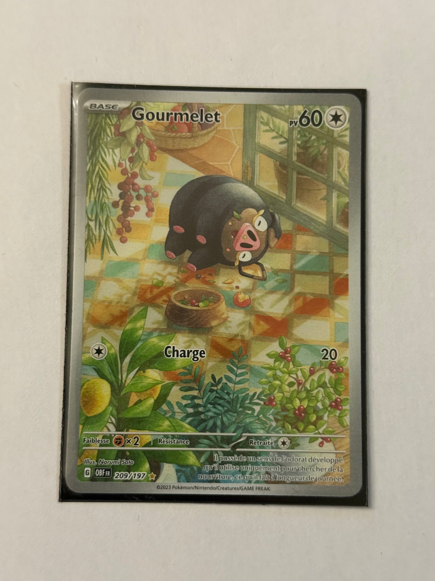 Carte Pokémon AR Gourmelet (Ev3 209) Mint Française + 1 carte mystère