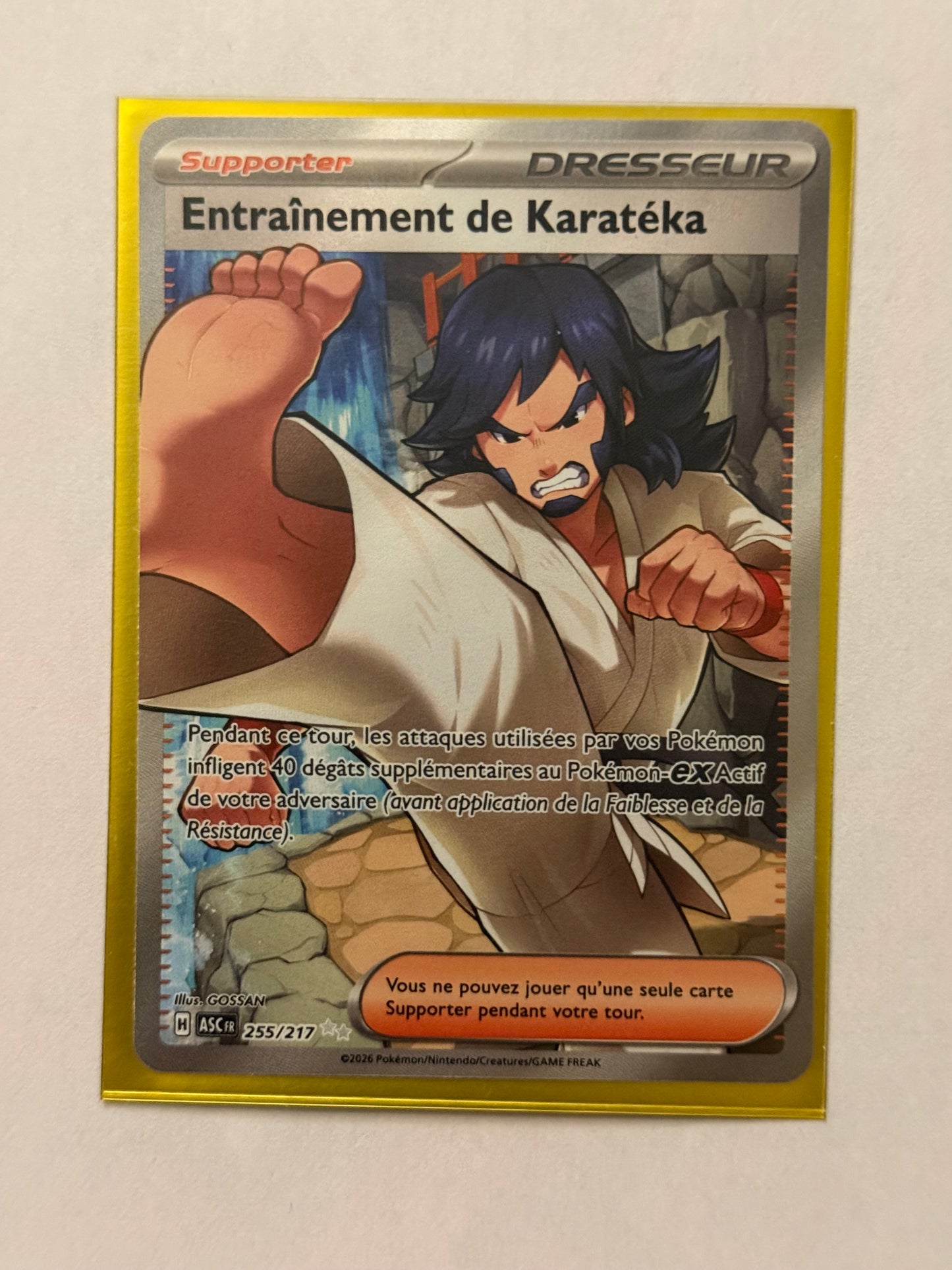 Carte Pokémon FA Karateka (M2.5 255) Mint Française + 1 carte mystère