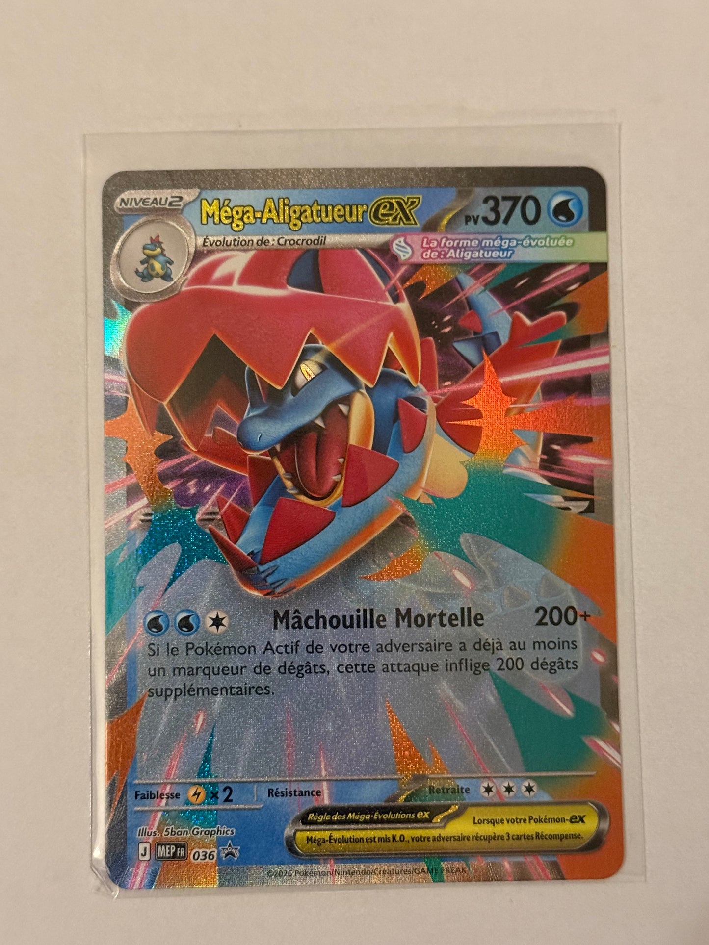 Carte Pokemon Promo Mega Aligatueur ex (036) Mint Française + 1 carte mystère offerte