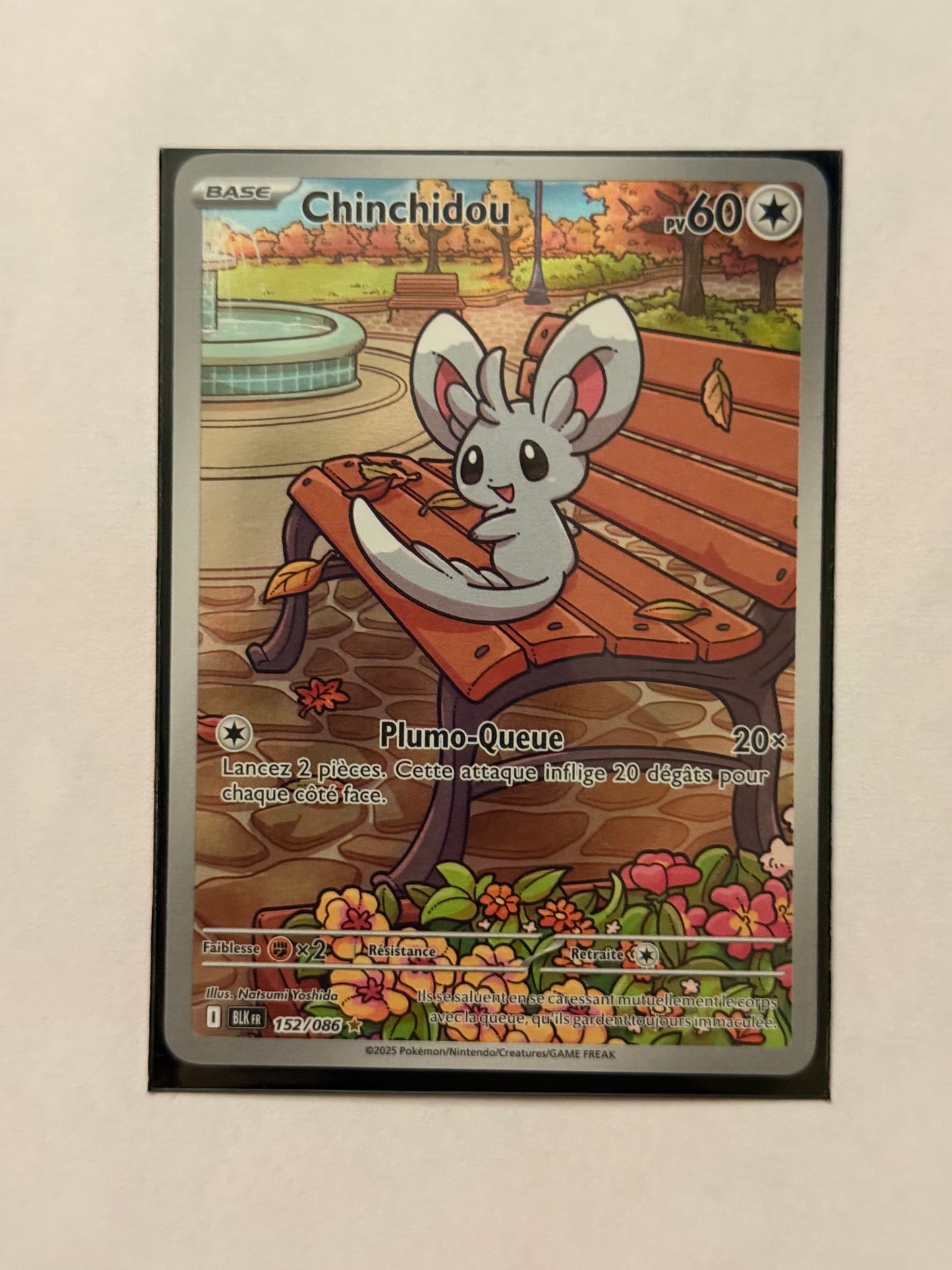 Carte Pokémon AR Chinchidou (Ev10.5 152) Mint Française + 1 carte mystère